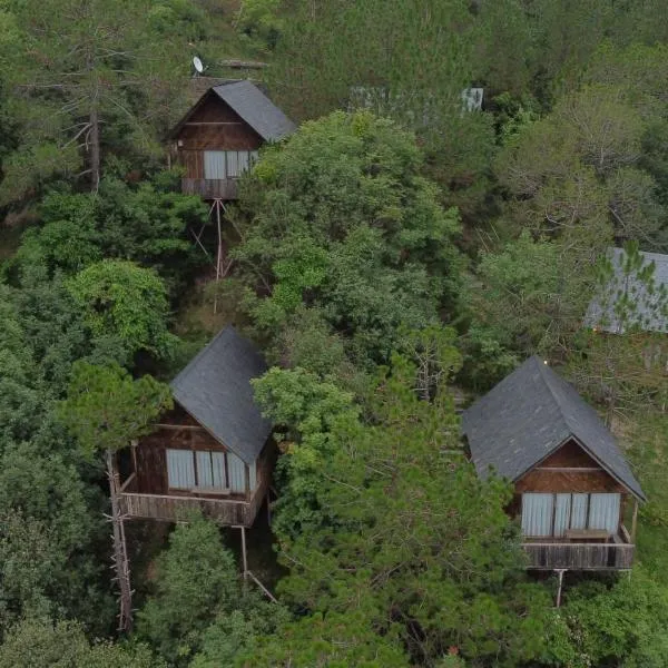 Alaya Stays Duplex Cottage with Tree House - Suro Woodcrest Chalet，位于Shogi的酒店