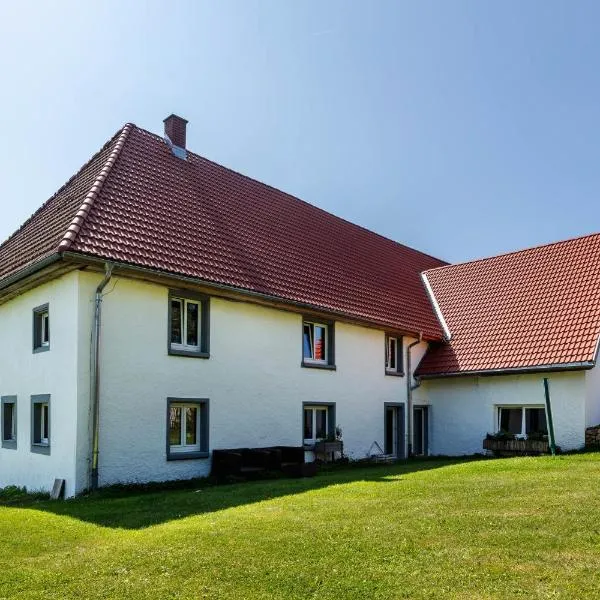 Ferienwohnung auf dem Wald 6 Pers，位于Görwihl的酒店