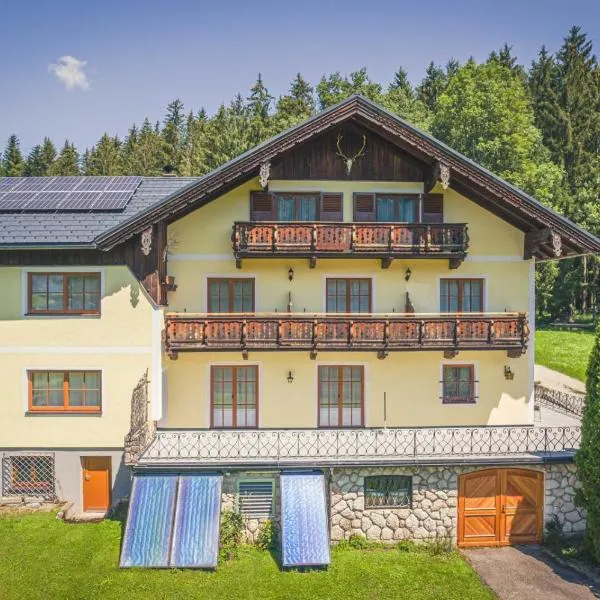 Haus Lemmerer，位于圣沃尔夫冈的酒店