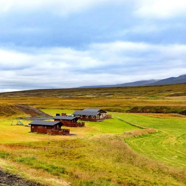 瑟莱克斯黛德尔农场假日酒店，位于Vopnafjörður的酒店