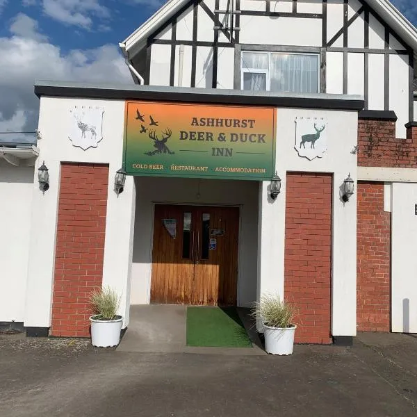 Ashhurst Deer N Duck Inn，位于Bunnythorpe的酒店