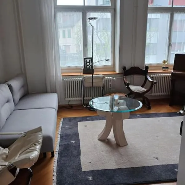 Charmante Jugendstilwohnung mit Tiefengaragenplatz，位于圣加仑的酒店