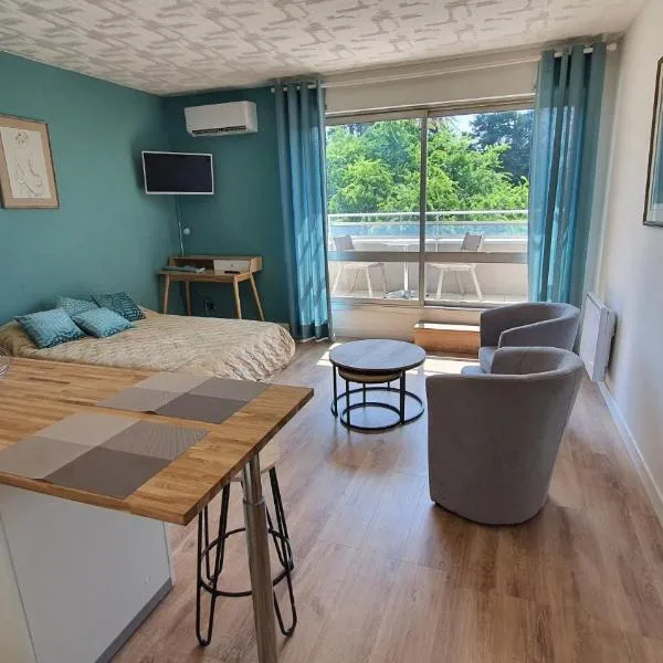 studio du parc piscine，位于苏亚克的酒店