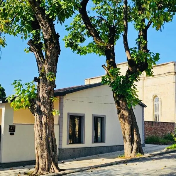 Whole house in the center，位于库塔伊西的酒店