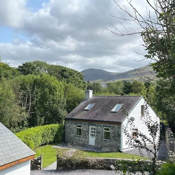 Bryn Rhedyn cottage，位于Cwm-y-glo的酒店