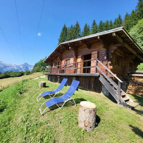 Chalet d'alpage avec vue incroyable，位于梅杰夫的酒店