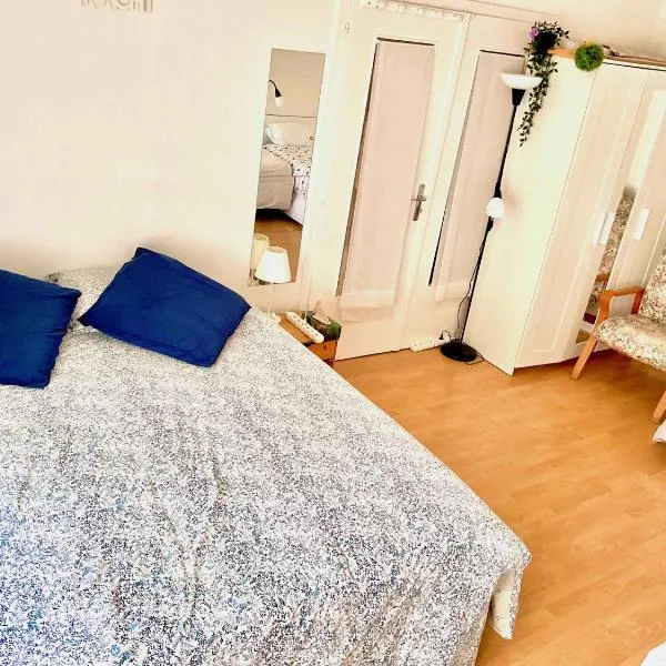 Chambre chez l'habitant en hyper centre à Strasbourg，位于斯特拉斯堡的酒店