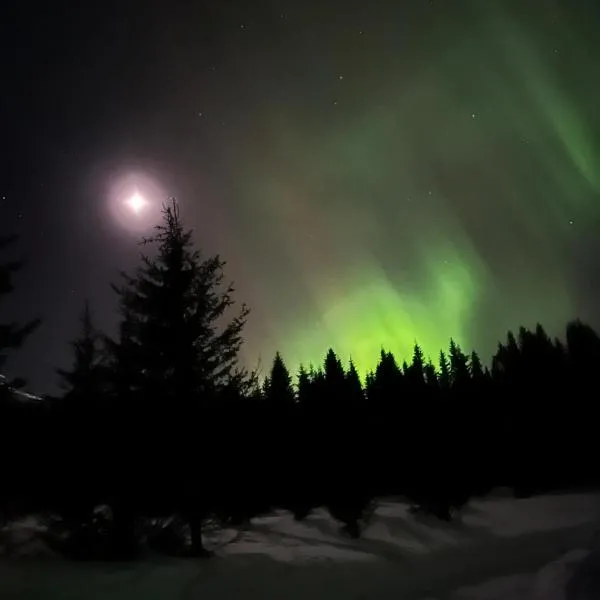 Langahlíð Guesthouse - Privatete Forest -，位于Ásólfsstaðir的酒店