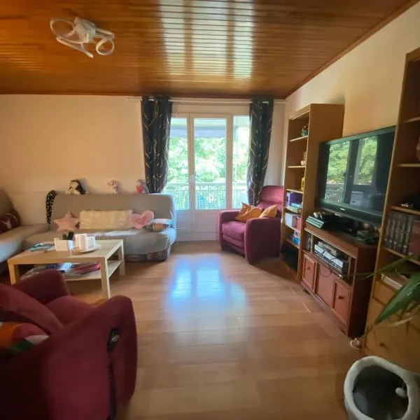 Appartement dans résidence calme，位于维齐尔的酒店