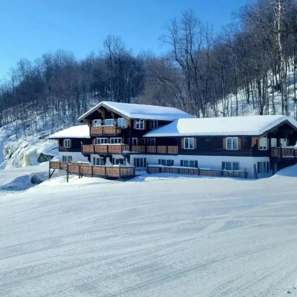 Davos Chalet，位于Upson的酒店