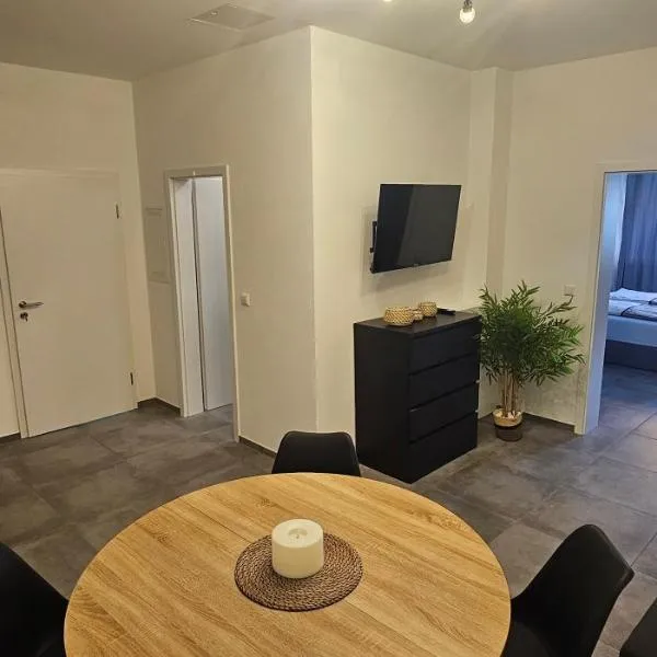 Altstadt Apartment，位于尼尔廷根的酒店