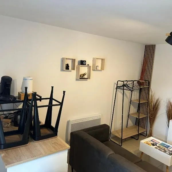 Appartement Centre ville，位于Carmaux的酒店