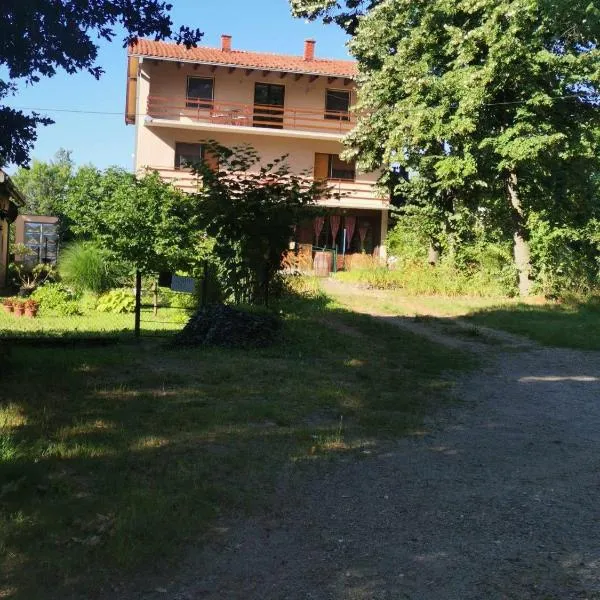 Prenoćište Lipov lad，位于内戈廷的酒店