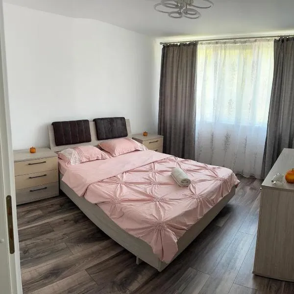 Apartament 4 camere Orsova，位于埃尔埃尼塔的酒店