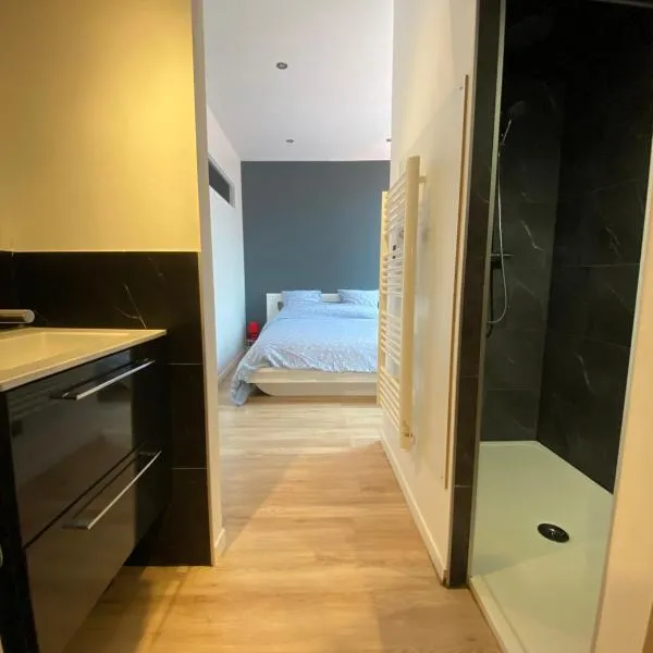 Duplex 4 couchages，位于蓬塔利耶的酒店