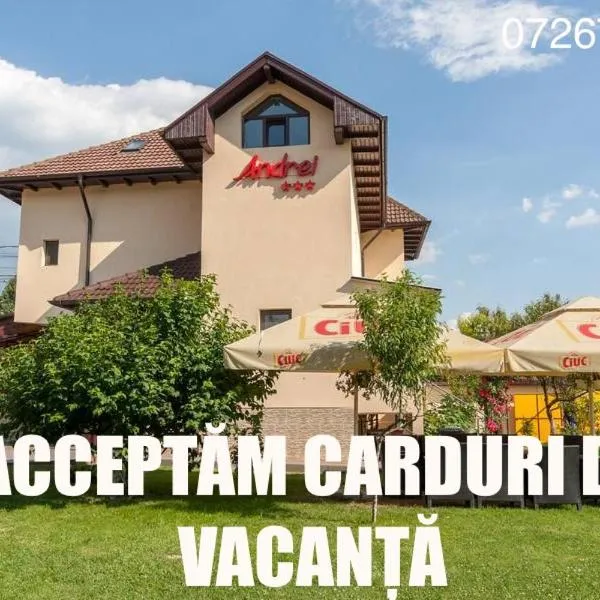 Pensiunea Andrei Rm Valcea，位于Vlădeşti的酒店