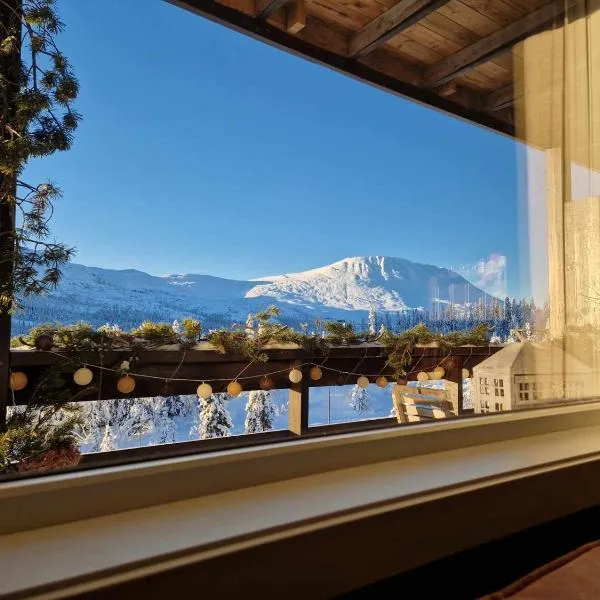 Gaustablikk, 3 soverom, fri utsikt til fjell og innsjø，位于Gaustablikk的酒店