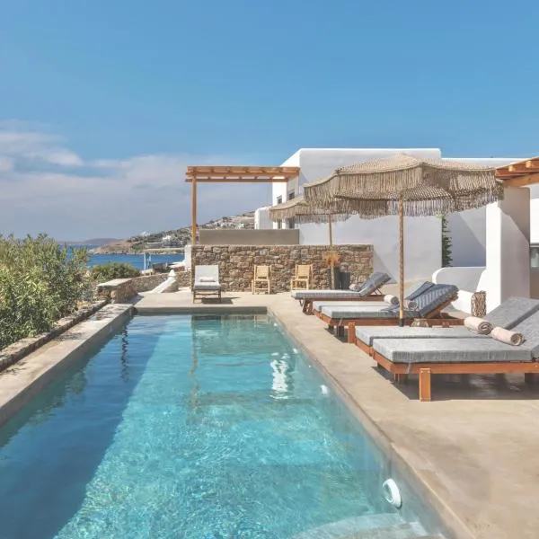 Trinity Mykonos - Villa & Beachfront Boutique Hotel，位于普拉迪斯亚罗斯的酒店