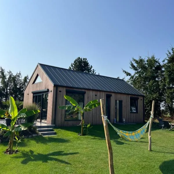 BananaHouse，位于Kruszwin的酒店