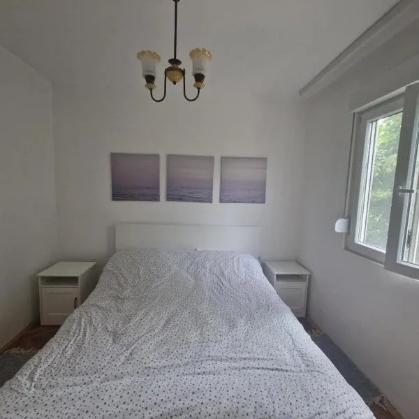 Apartman Mamut，位于下米拉诺瓦茨的酒店