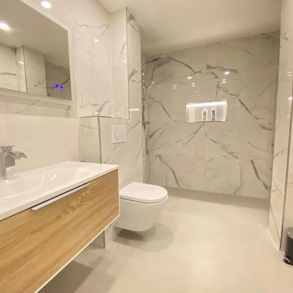 Lux and Big Apartment，位于Walldorf的酒店