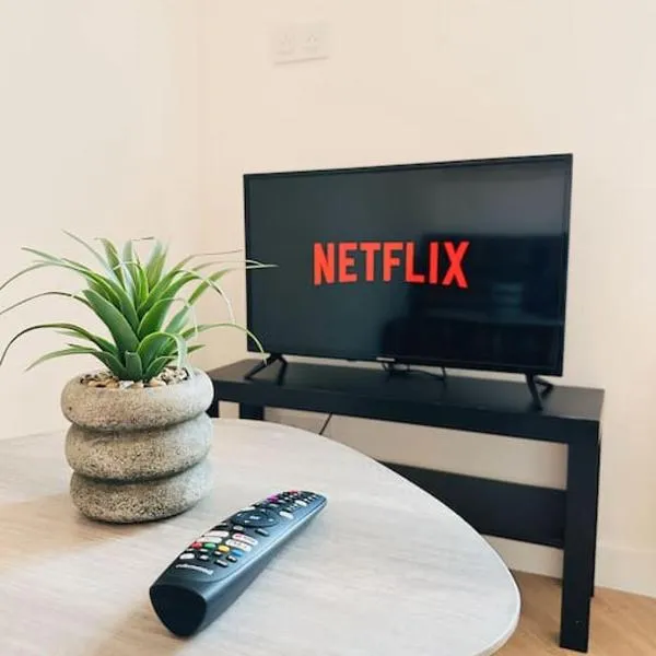 Le Cocon - Parking gratuit - Netflix，位于Pont-de-Veyle的酒店