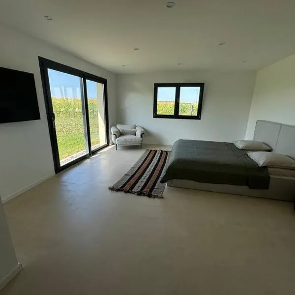 Magnifique Villa 4 chambres avec piscine，位于Wolfersdorf的酒店