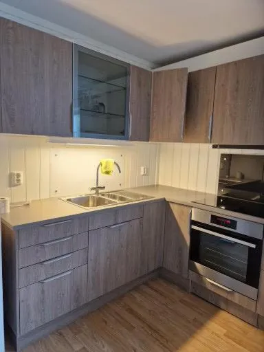 Trysil sentrum leilighet，位于特吕西尔的酒店