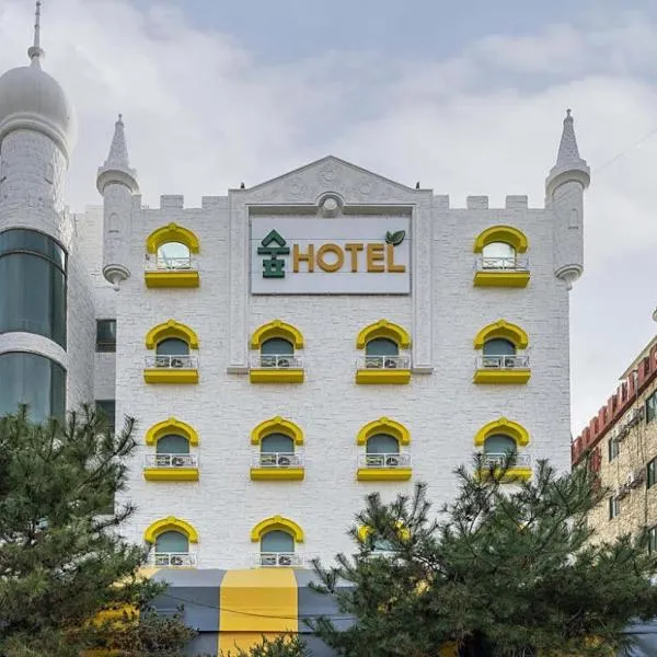 Soop Hotel，位于天安市的酒店