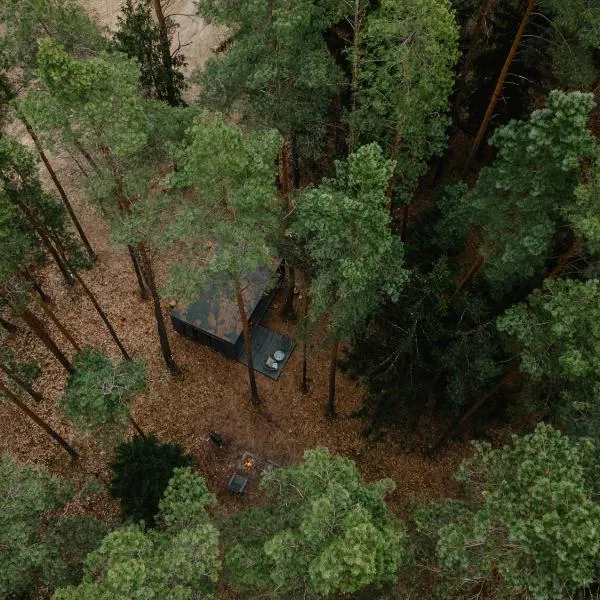 Miško terapija，位于Kriviliai的酒店