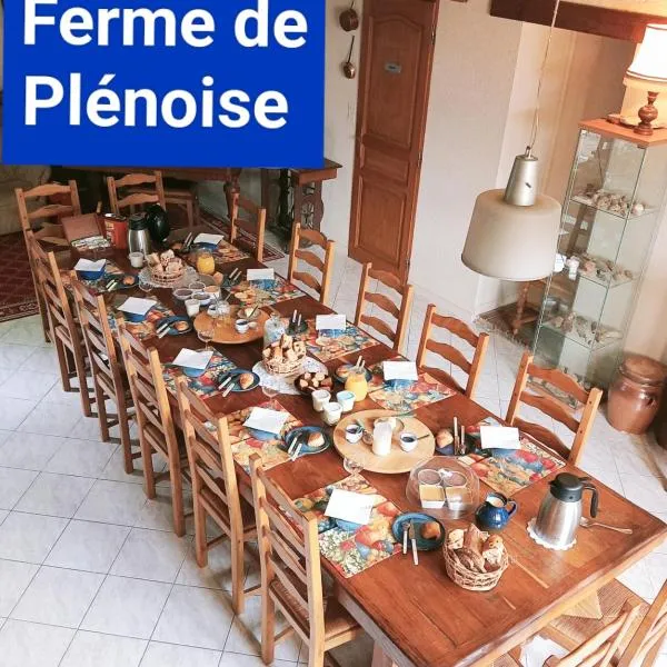 La Ferme de Plénoise Chambre & Table d'hôtes，位于Fricambault的酒店