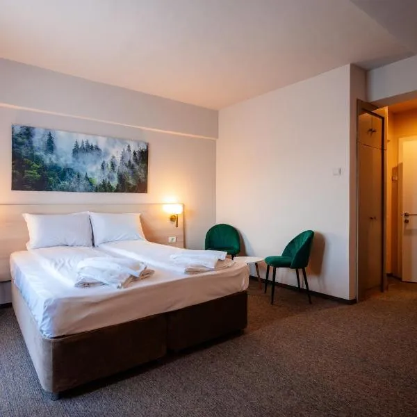 Bacolux Santis, Covasna，位于科瓦斯纳的酒店