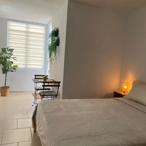 Melina Studio Apt，位于里奥格兰德的酒店