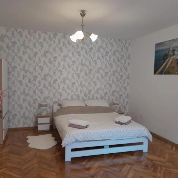 Apartament w Centrum Miasta, blisko Dworcu，位于普热梅希尔的酒店