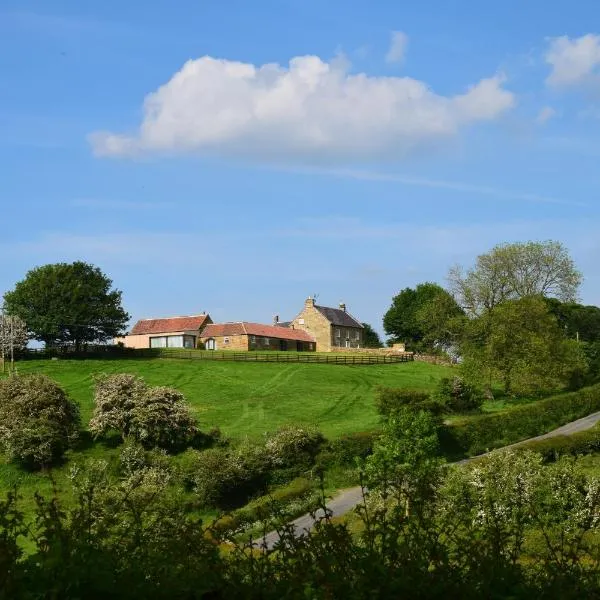 West Acre Lodge，位于Boltby的酒店