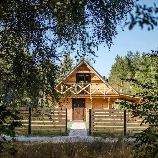 Leśny domek，位于Białowieża的酒店