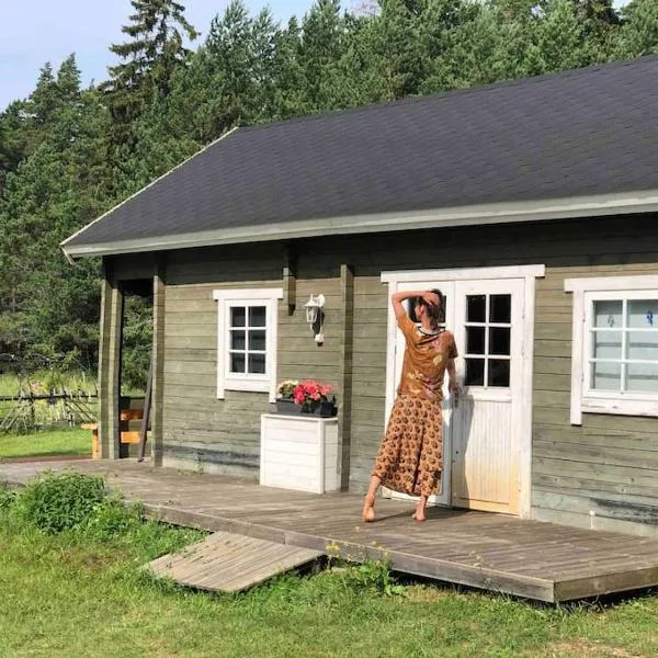Aasa Summer Cottage，位于Surepi的酒店