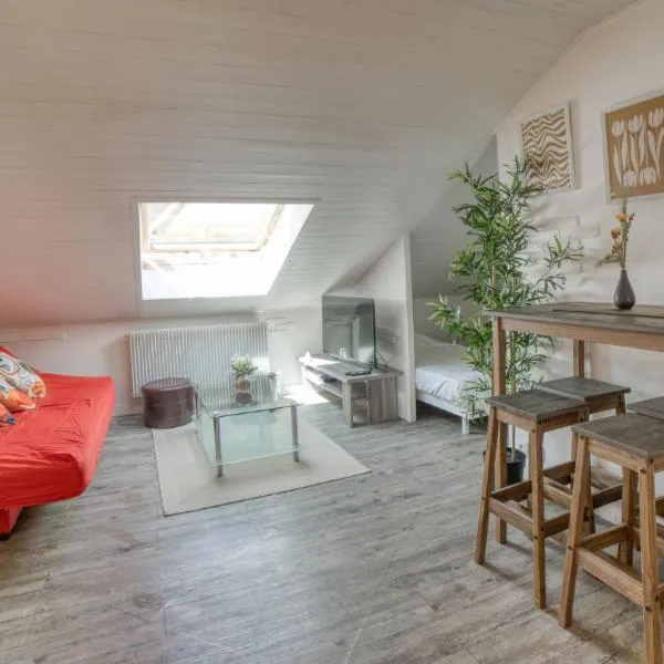 Studio 4pers - CHIC - Marignier，位于Marignier的酒店