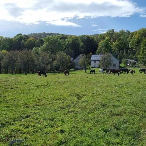 Horse Trail Plitvice，位于Donji Babin Potok的酒店