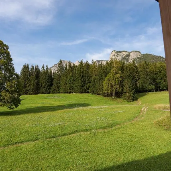 Ferienwohnung Trisselwand，位于利岑的酒店