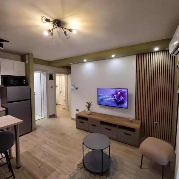 Apartman ŠODA - COTIĆ，位于索林的酒店