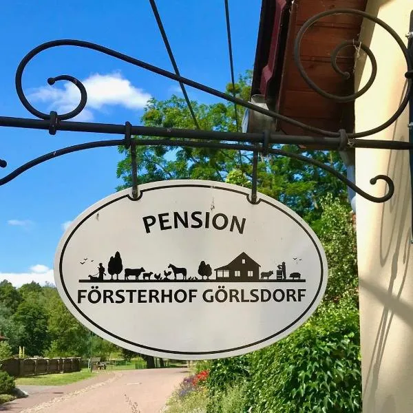 Pension Försterhof，位于安格尔明德的酒店