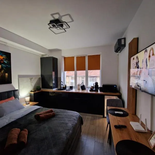 Modern Studio 2，位于奥内什蒂的酒店
