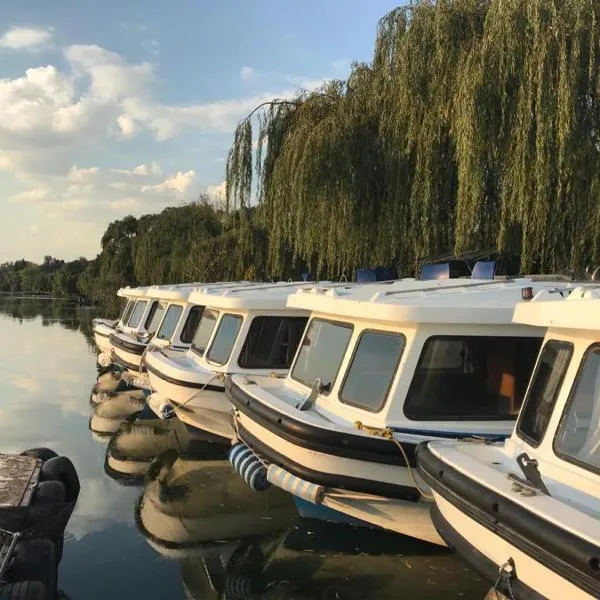 Old Willow Houseboats，位于Theoville的酒店