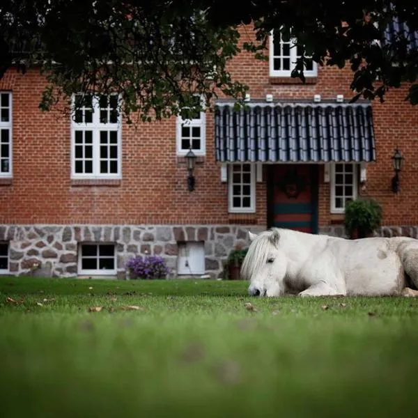 Søstgård B&B，位于哈泽斯莱乌的酒店