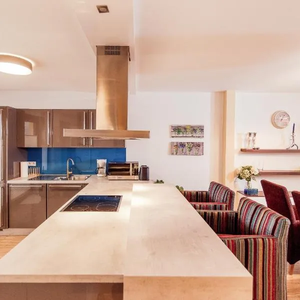 Appartement mit Dachterrasse und Schloßblick，位于海德堡的酒店