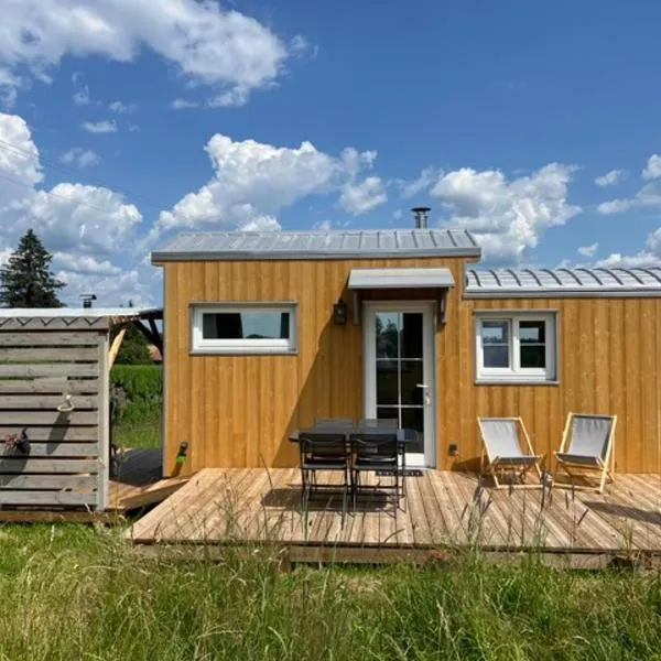 La Tiny House, La Chandeleytte，位于Saint-Étienne-lès-Remiremont的酒店