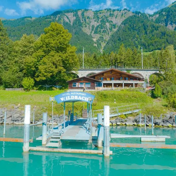 Hotel Wildbach Brienz，位于布里恩茨的酒店