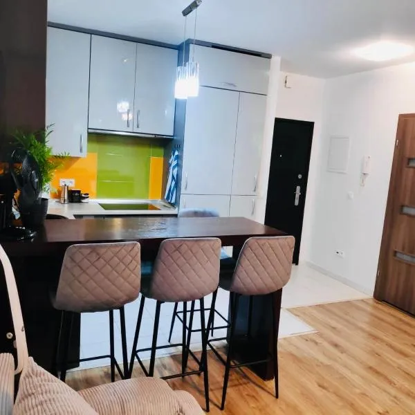 Apartament Podmiejska，位于亚斯琴别-兹德鲁伊的酒店