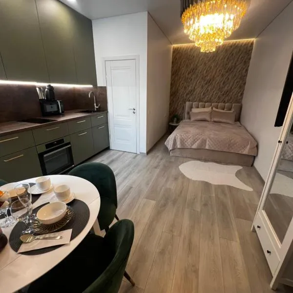 Chic Residence apartament 1，位于Kuršėnai的酒店